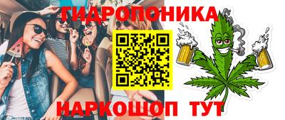 дмт Владимир